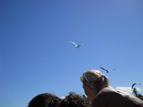 DSCN0615