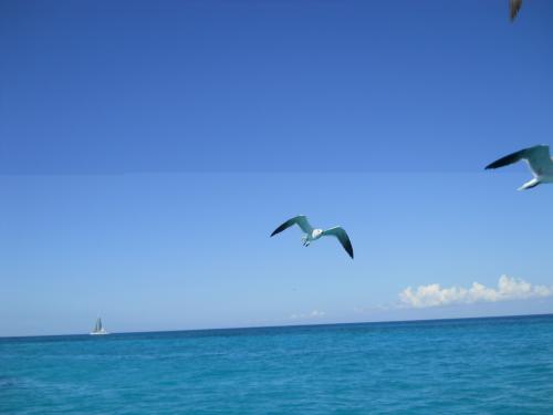 DSCN0618