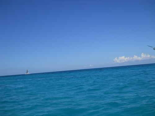 DSCN0619