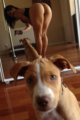 perro