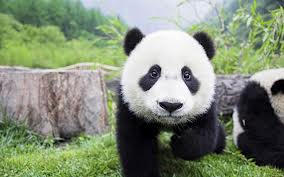 October 26, 2013