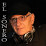 Timbalero dj